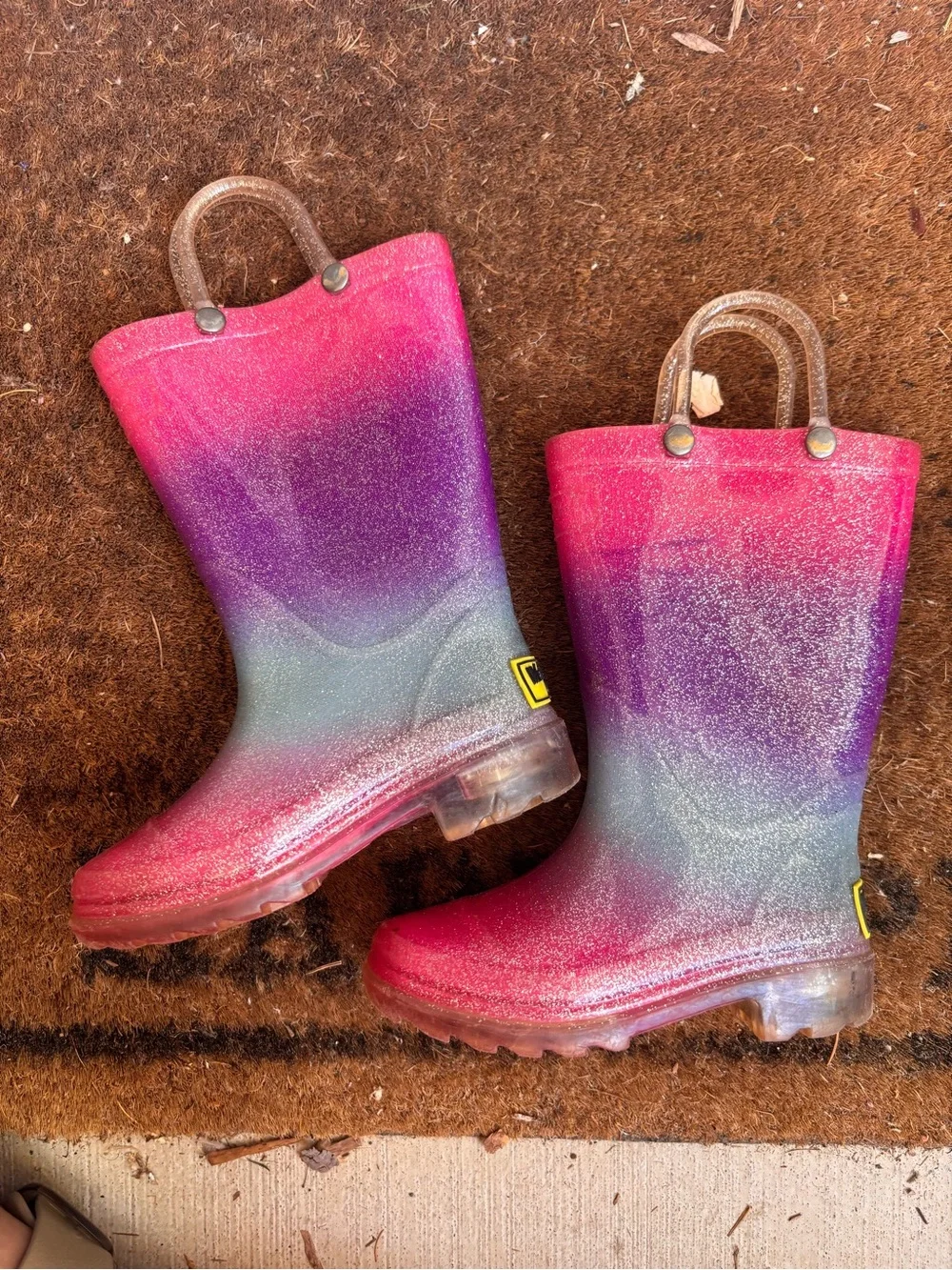 Western Chief Ombré Rainboots